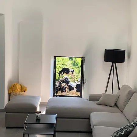 La Cachette Dans Le Verger * Foy-Notre-Dame