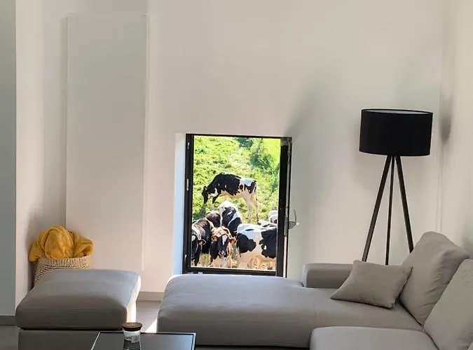 La Cachette Dans Le Verger * Foy-Notre-Dame